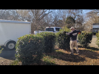 ECHO DHCA-2600 Battery Hedge Trimmer Review: Quiet Power & Long Reach
